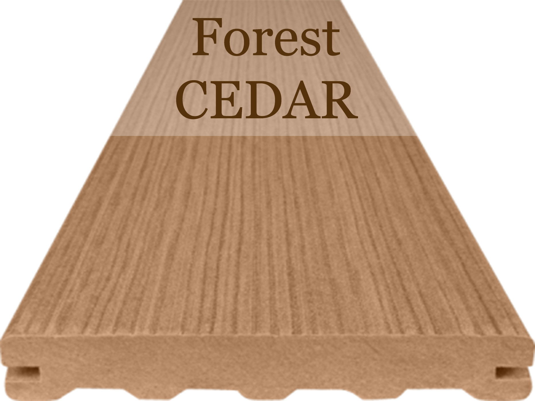 Woodplastic Fores WPC