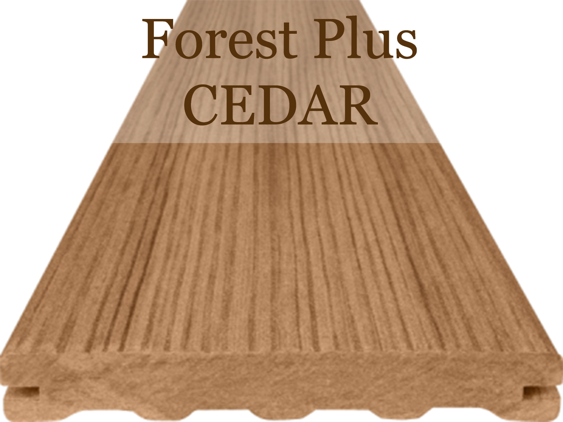 Woodplastic Forest Plus